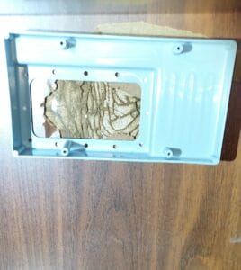 טרמיטים בעץ: טיפול בטרמיטים בתוך ארון