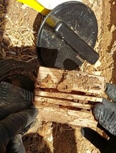 תיבה קרקעית לטיפול נגד טרמיטים